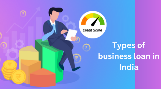 types of business loan in india