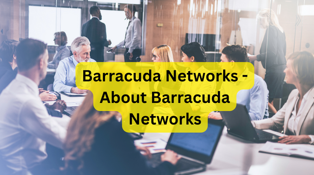 Barracuda Networks – About Barracuda Networks